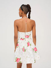 Rosebud Corset Mini Dress