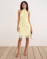 Brisea Mini Dress in Lemon with Vintage Bloom Embroidery